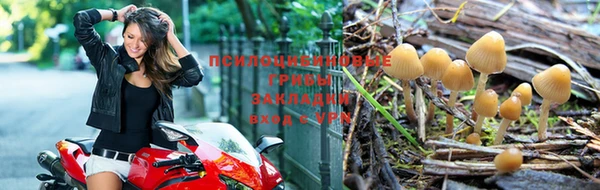 гидра Баксан