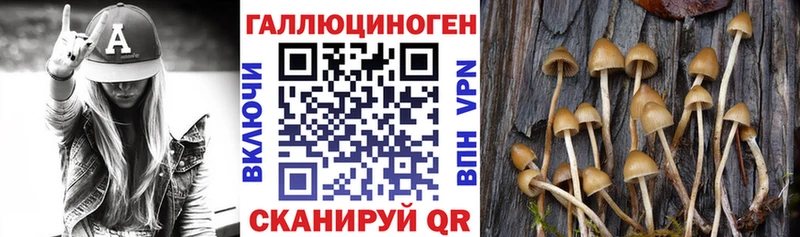 Псилоцибиновые грибы ЛСД  купить наркотик  Горнозаводск 